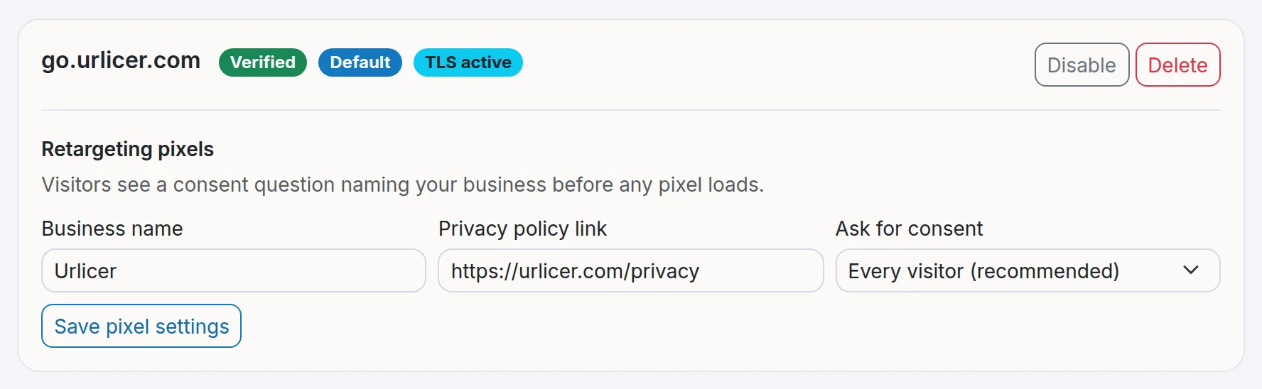 A custom domain marked Verified and TLS active, with the Set default, Disable and Delete buttons